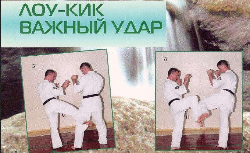 Лоу кік
